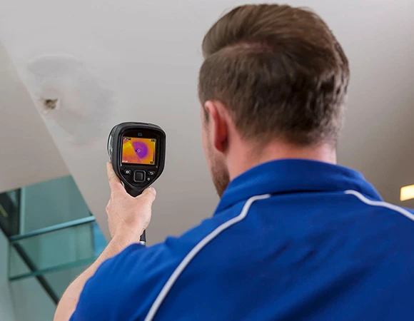 Professional Leak Detection Services in Madison
